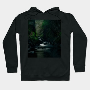 FAIRY GLEN IN PORTRAIT Hoodie